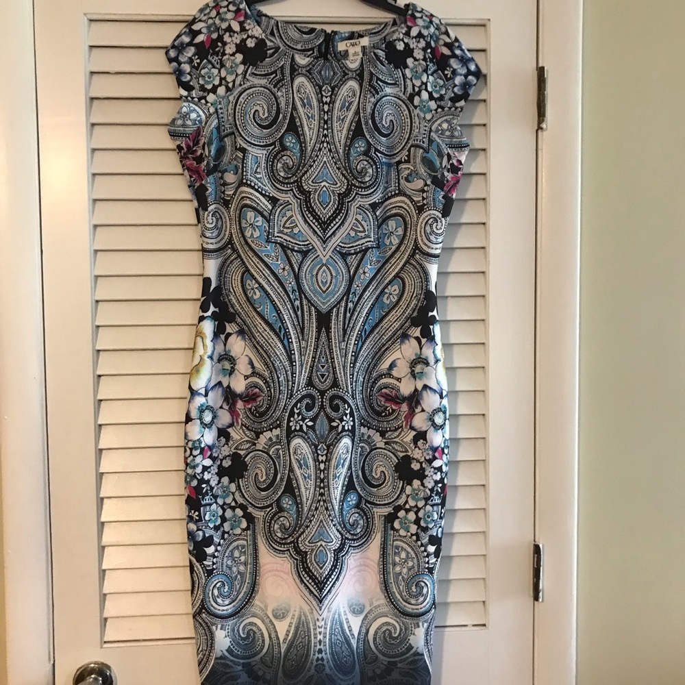 form fitting dress very cute and pretty design